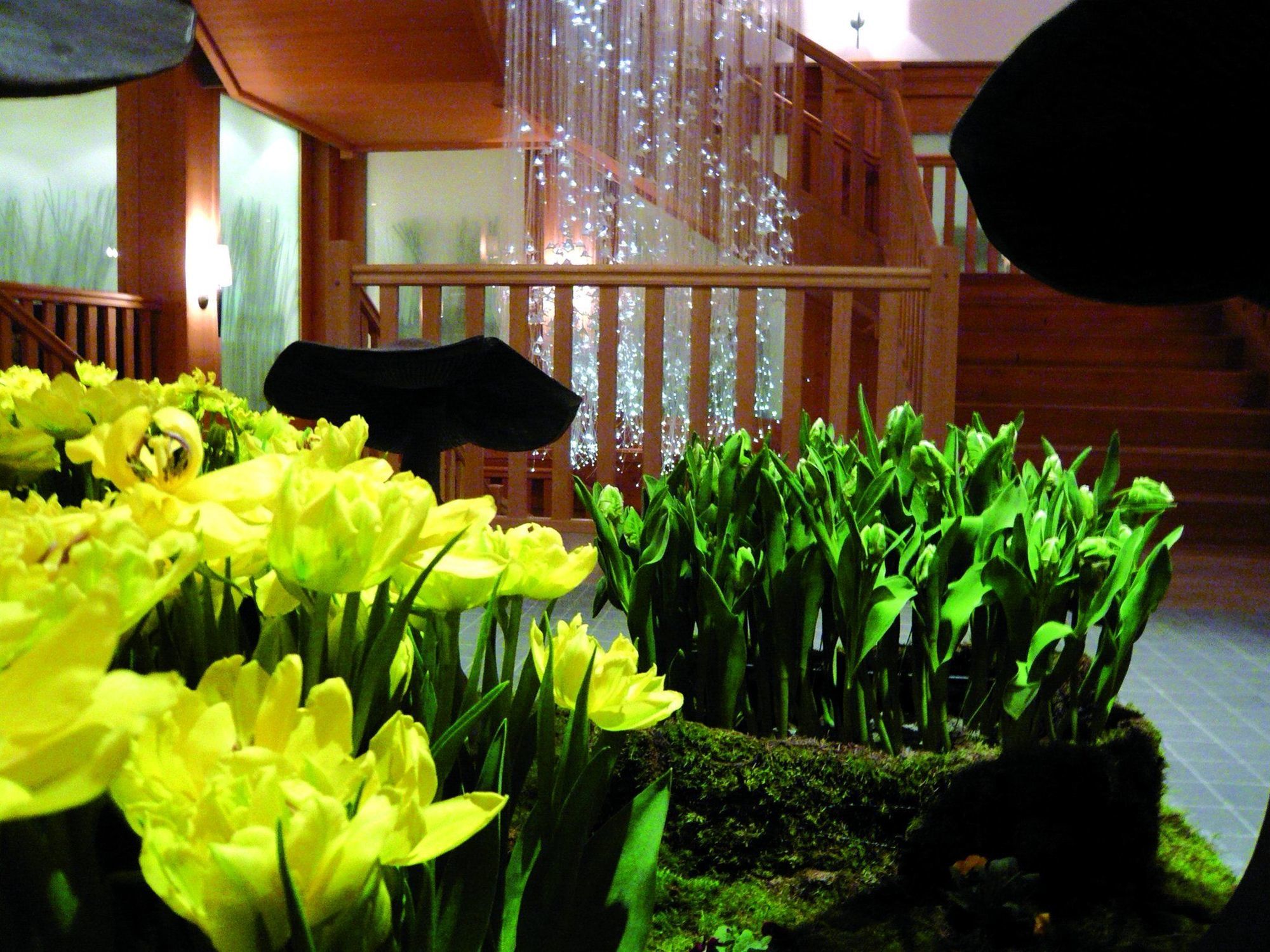 Chalet Royalp Hotel & Spa Villars-sur-Ollon Interiør billede